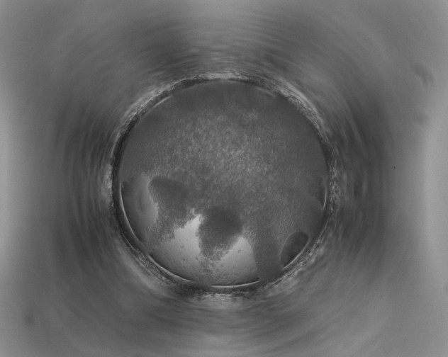 X0000113600298200909181357