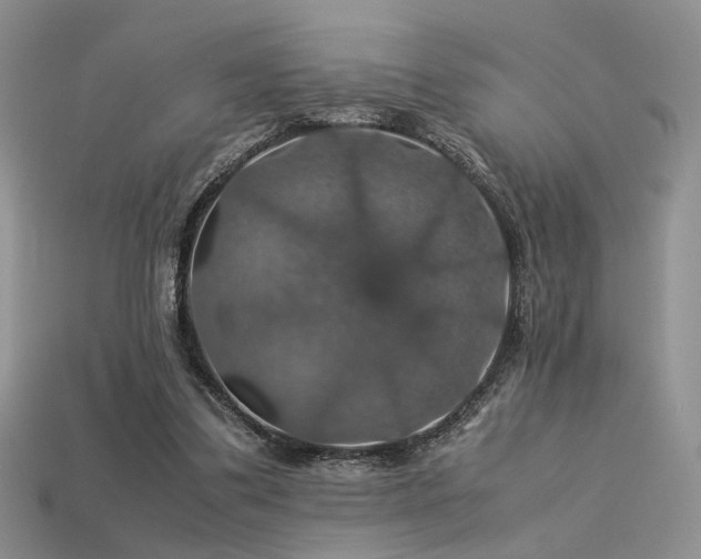 X0000113600299200909181357