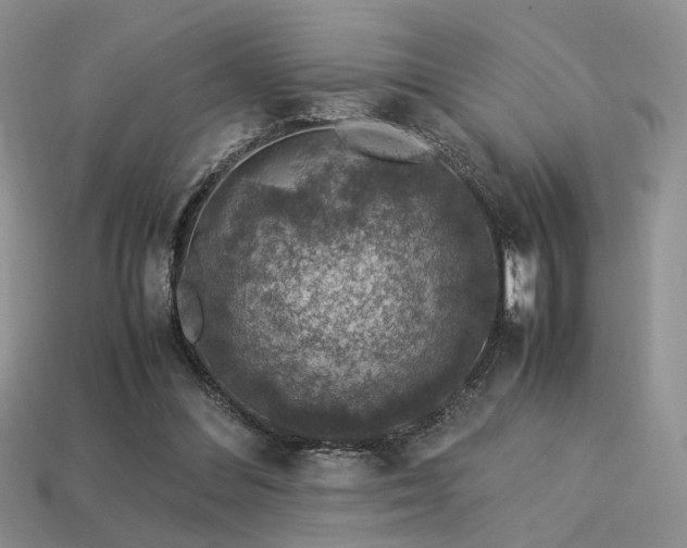 X0000113600300200909181357