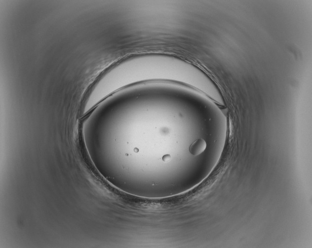 X0000113600301200909181357