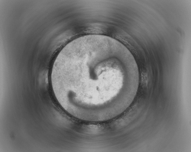 X0000113600302200909181357