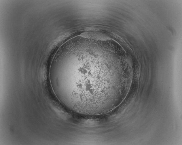 X0000113600303200909181357