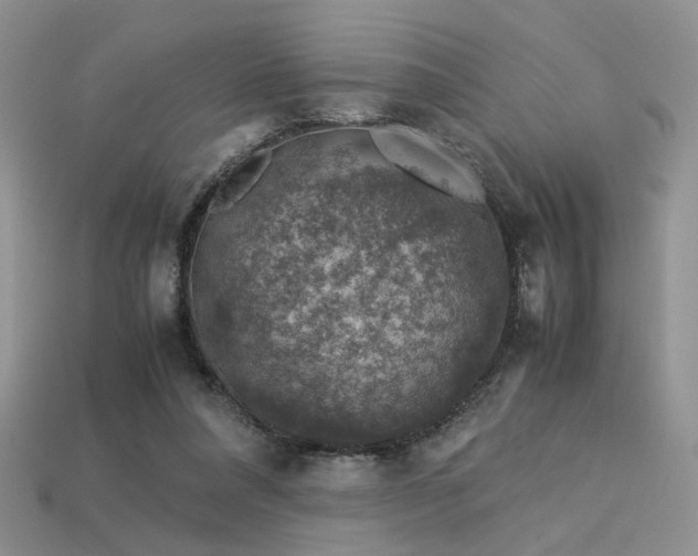 X0000113600304200909181357