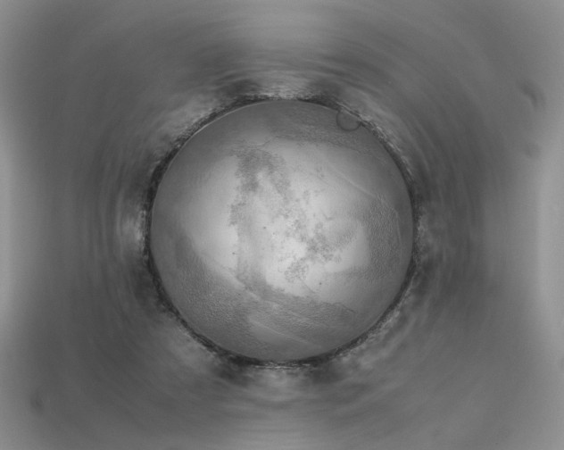 X0000113600305200909181357