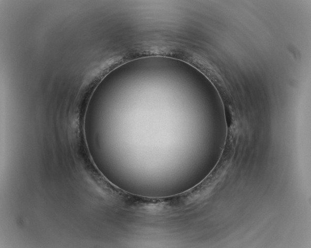 X0000113600306200909181357