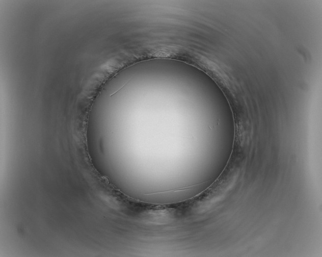 X0000113600307200909181357