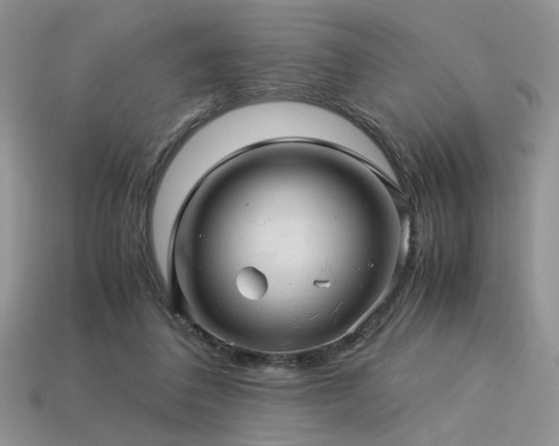 X0000113600308200909181357