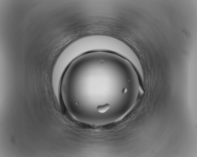 X0000113600309200909181357