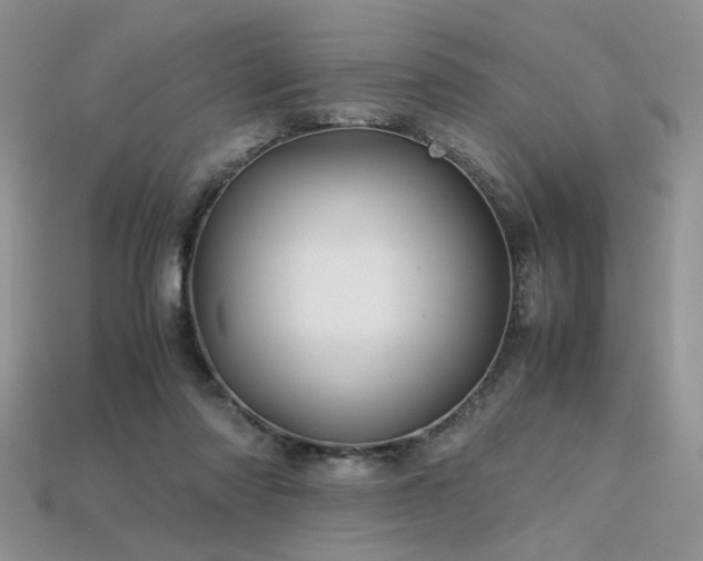 X0000113600310200909181357