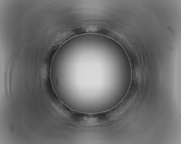 X0000113600311200909181357