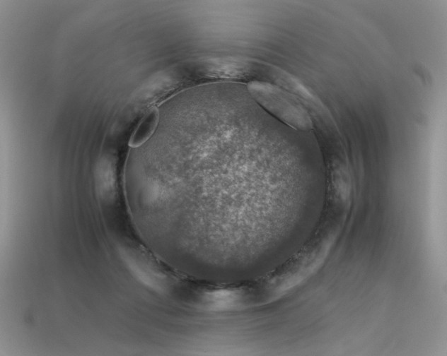 X0000113600312200909181357