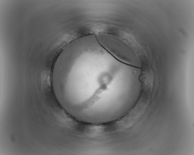 X0000113600313200909181357