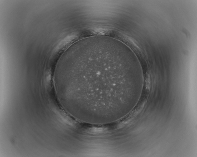 X0000113600314200909181357