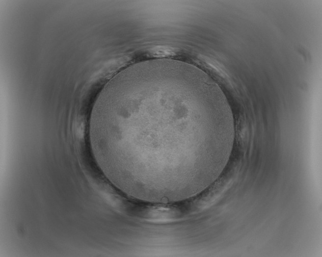 X0000113600315200909181357