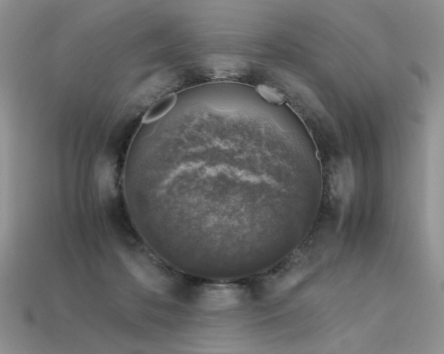 X0000113600316200909181357