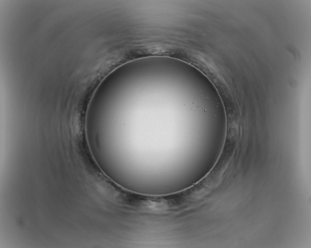 X0000113600317200909181357