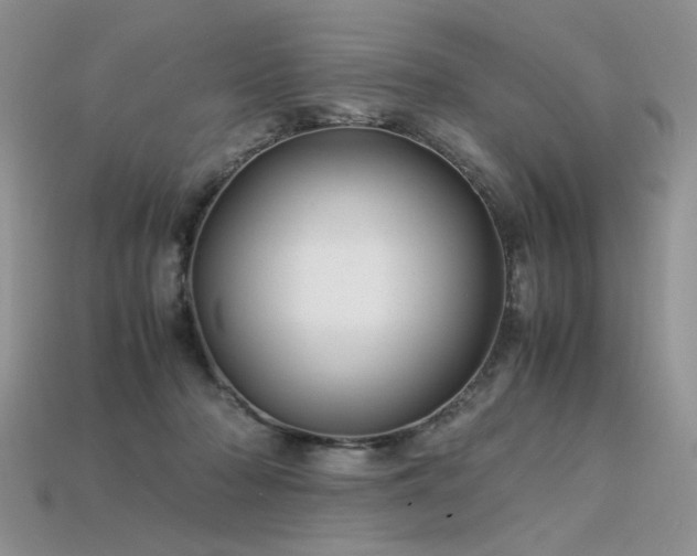 X0000113600318200909181357