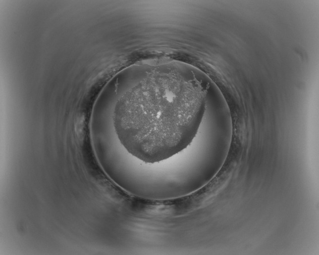 X0000113600319200909181357