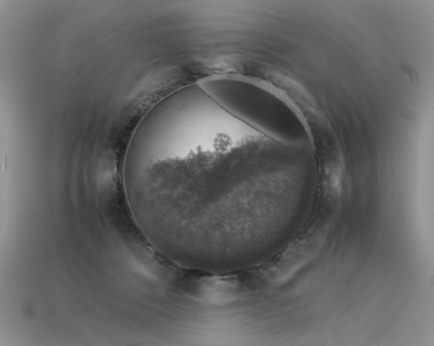 X0000113600320200909181357