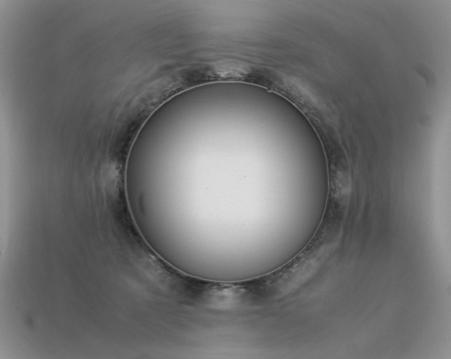 X0000113600321200909181357