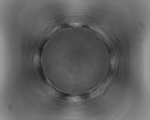 X0000113600322200909181357