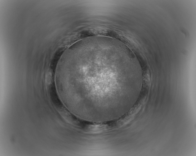 X0000113600323200909181357