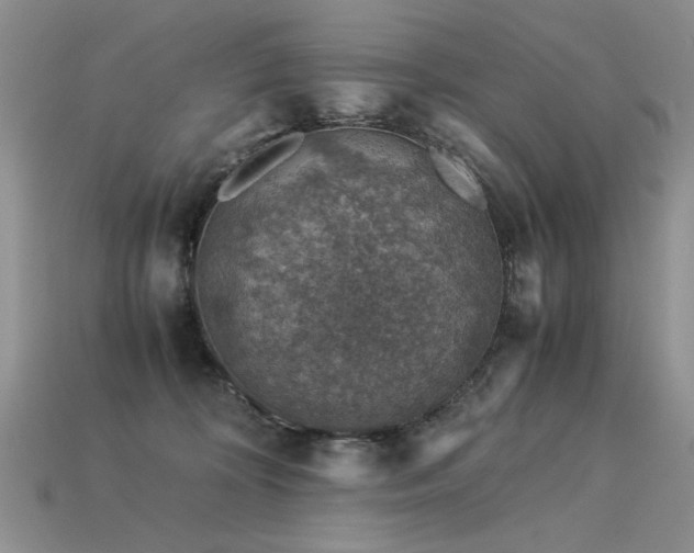 X0000113600324200909181357