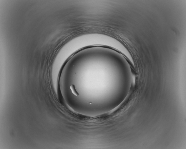 X0000113600325200909181357