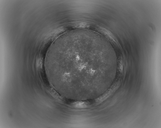 X0000113600326200909181357