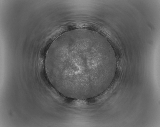 X0000113600327200909181357