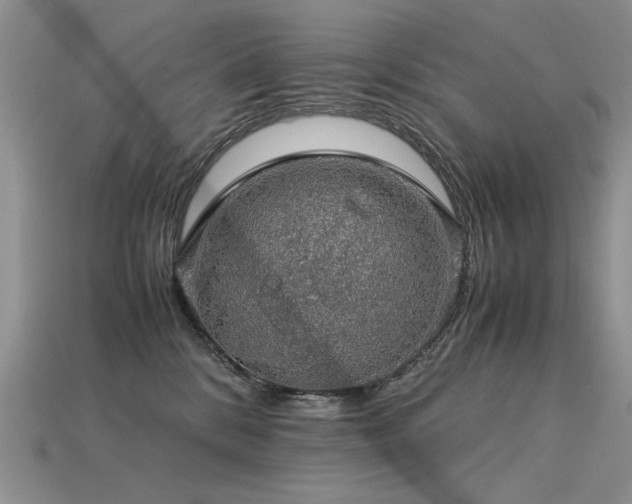 X0000113600328200909181357