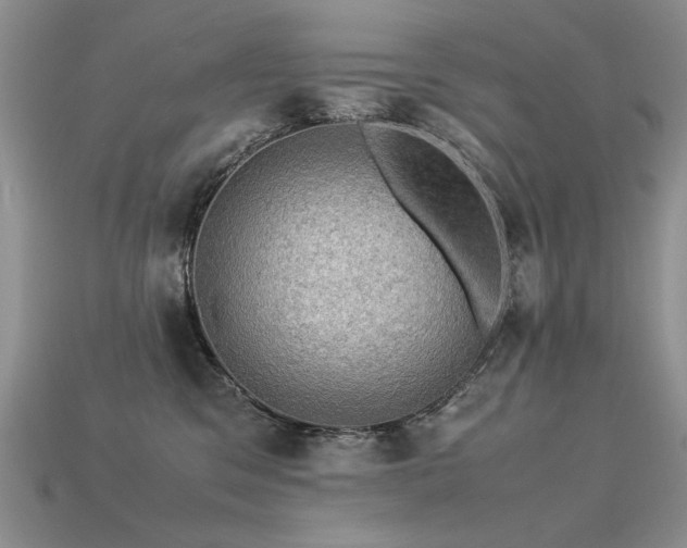 X0000113600329200909181357