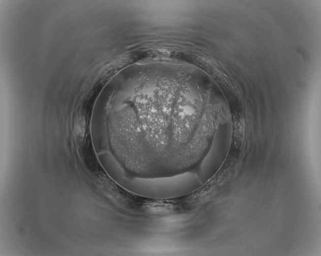 X0000113600331200909181357