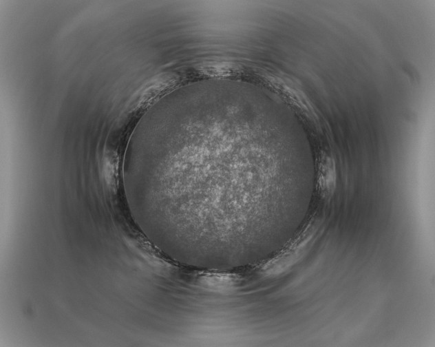 X0000113600332200909181357