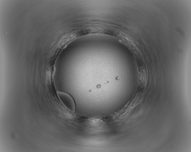 X0000113600333200909181357