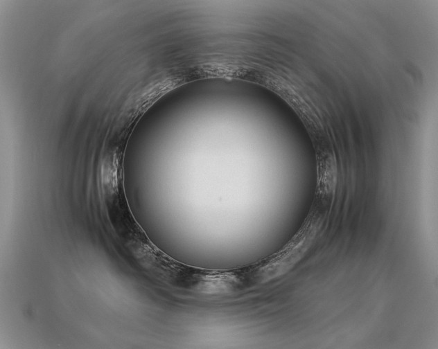 X0000113600334200909181357