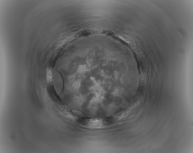 X0000113600335200909181357