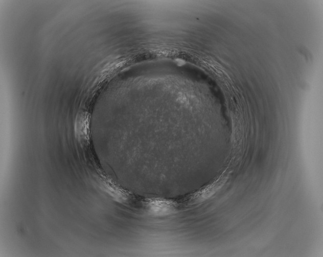 X0000113600336200909181357