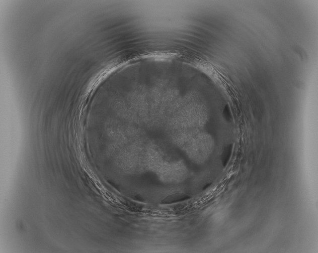 X0000113600337200909181356