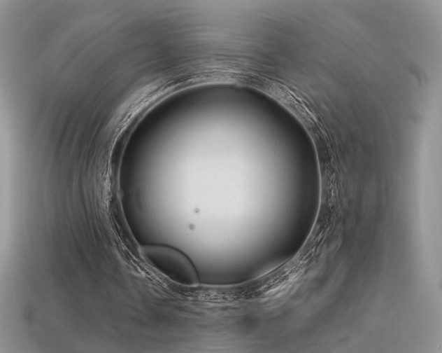 X0000113600338200909181356