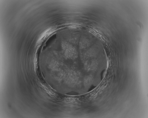 X0000113600339200909181356