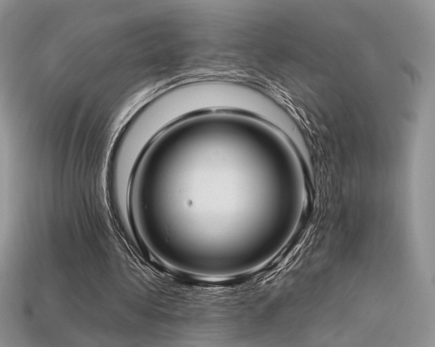 X0000113600340200909181356