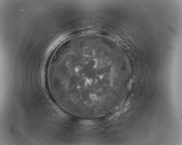 X0000113600341200909181356