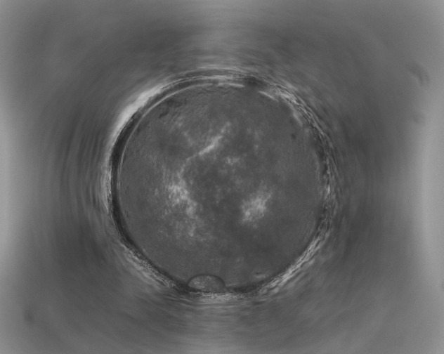 X0000113600342200909181356