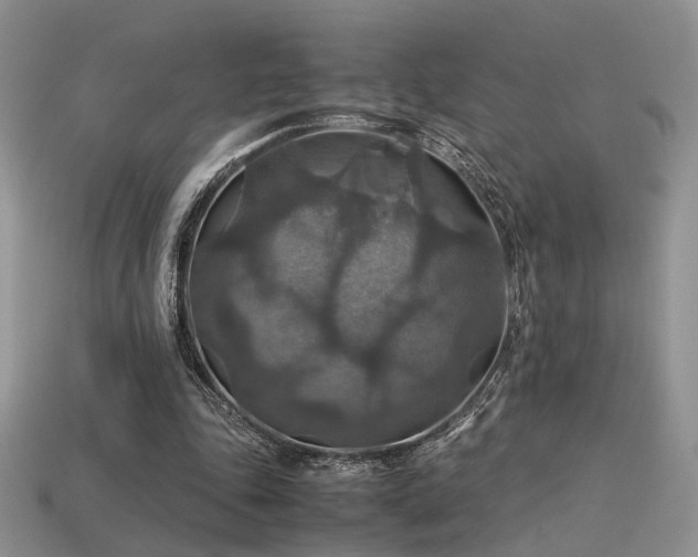 X0000113600343200909181356