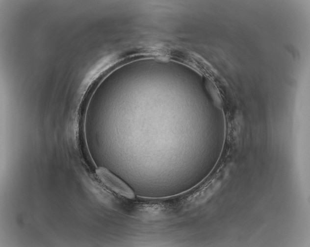 X0000113600344200909181356