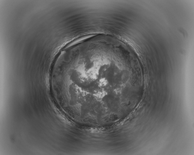 X0000113600345200909181356