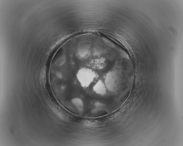 X0000113600346200909181356