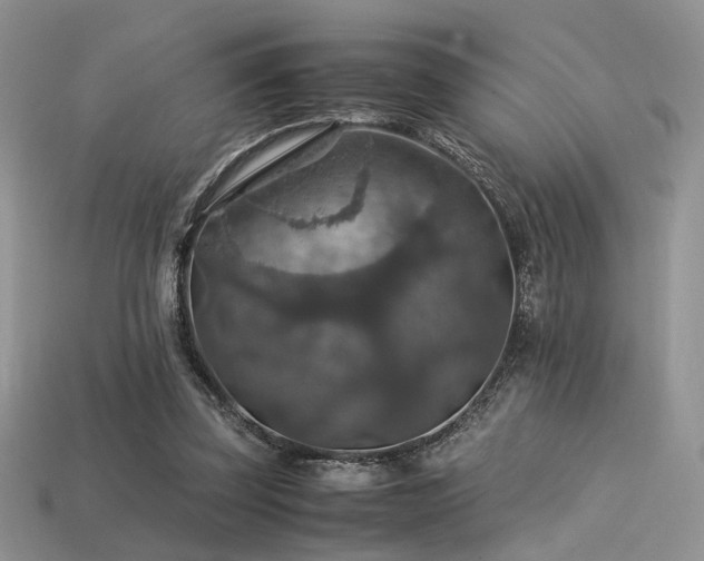 X0000113600347200909181356