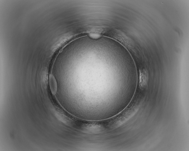 X0000113600348200909181356